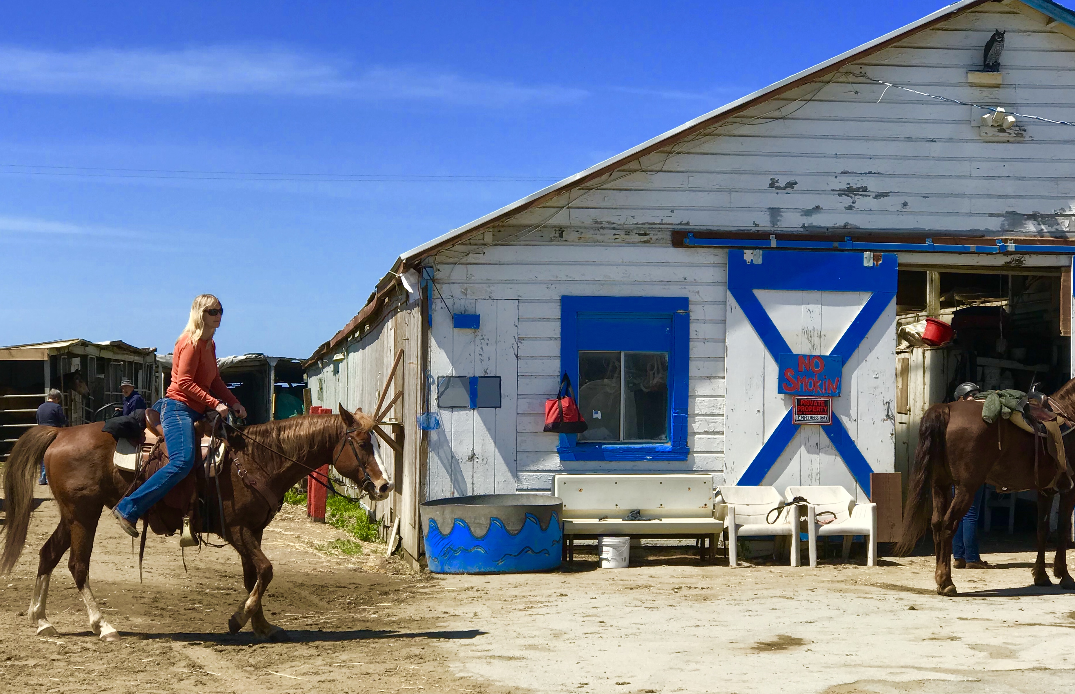 Катание на лошадях по пляжу Рядом с заливом Сан-Франциско и Монтереем.JPG